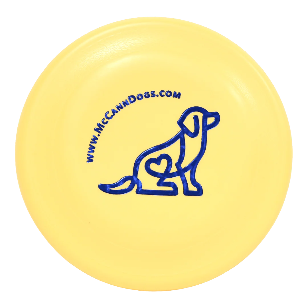 Interactive Dog Toys