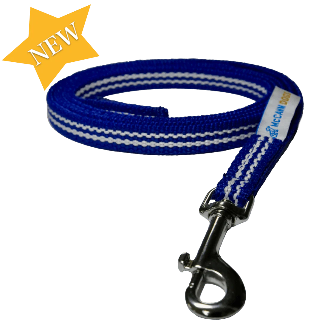 Training Equipment